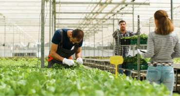 Sustainable Water Solutions for Agricultural Industries