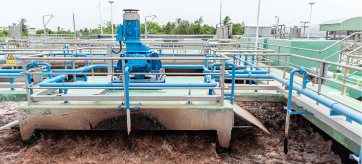 Sewage Treatment Plant (STP)